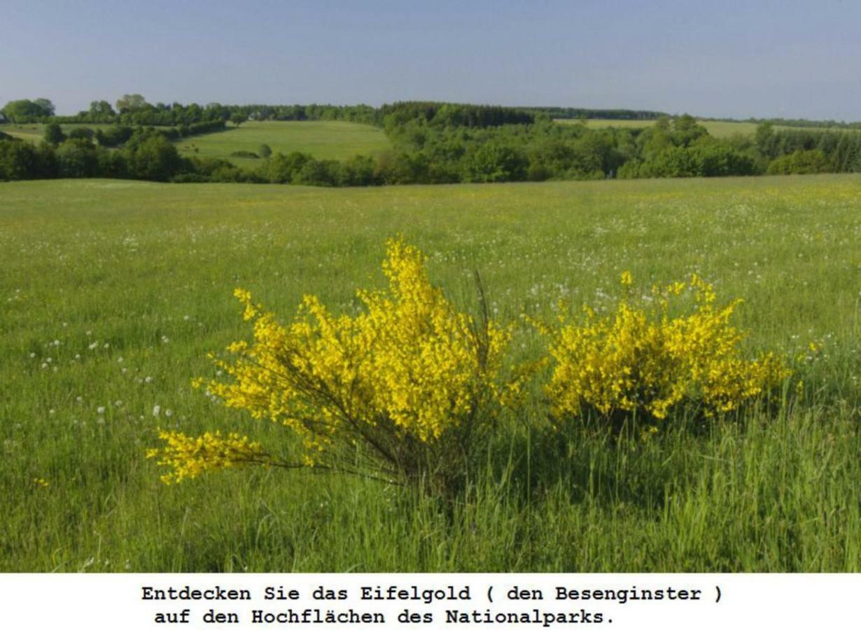 Ferienwohnung Gross B Schleiden Exteriér fotografie