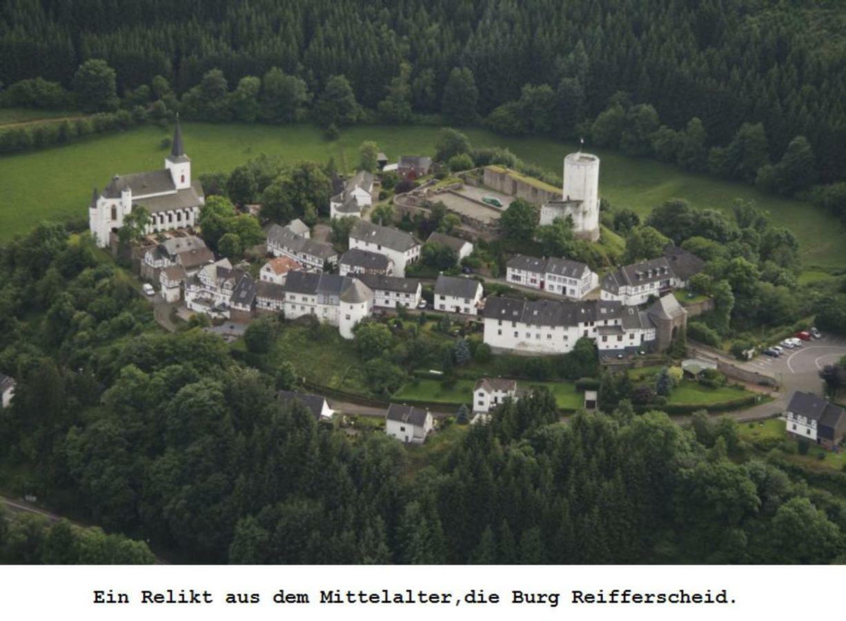 Ferienwohnung Gross B Schleiden Exteriér fotografie