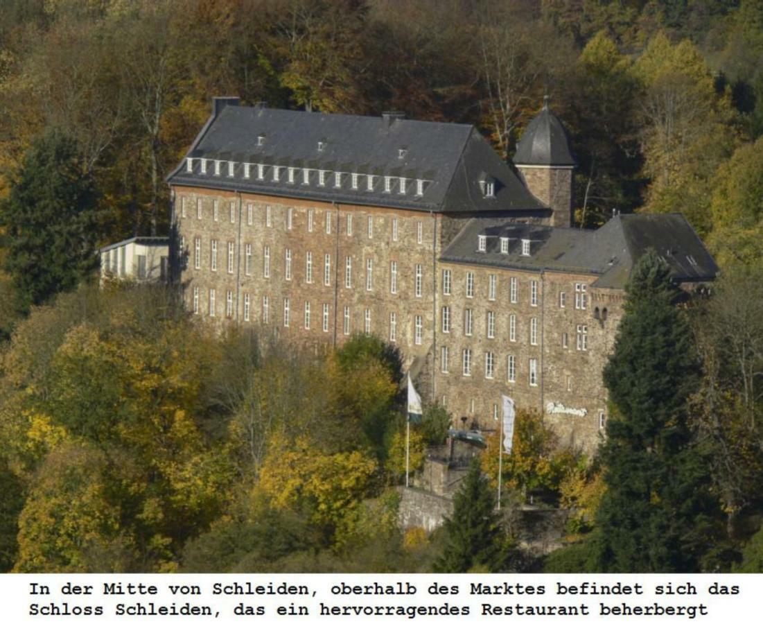 Ferienwohnung Gross B Schleiden Exteriér fotografie