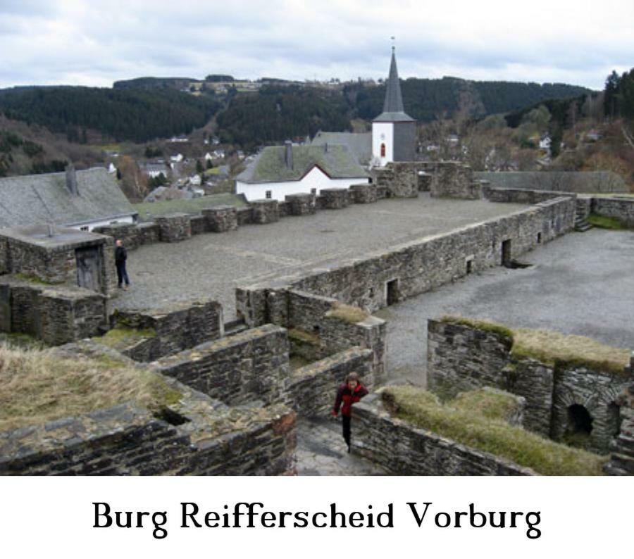 Ferienwohnung Gross B Schleiden Exteriér fotografie