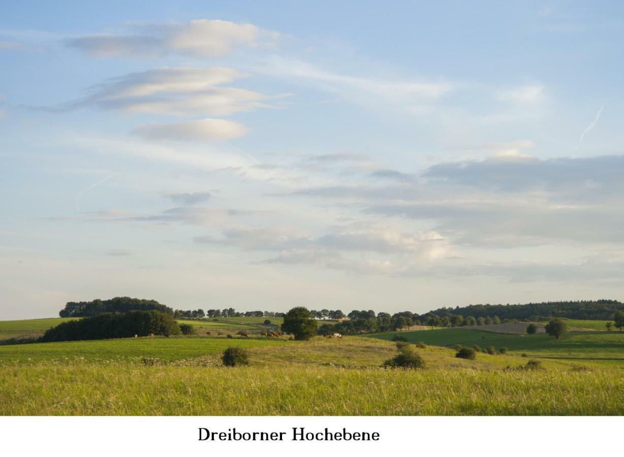 Ferienwohnung Gross B Schleiden Exteriér fotografie